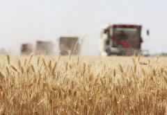 二十届地方局就扶植更高程度安然中国进 